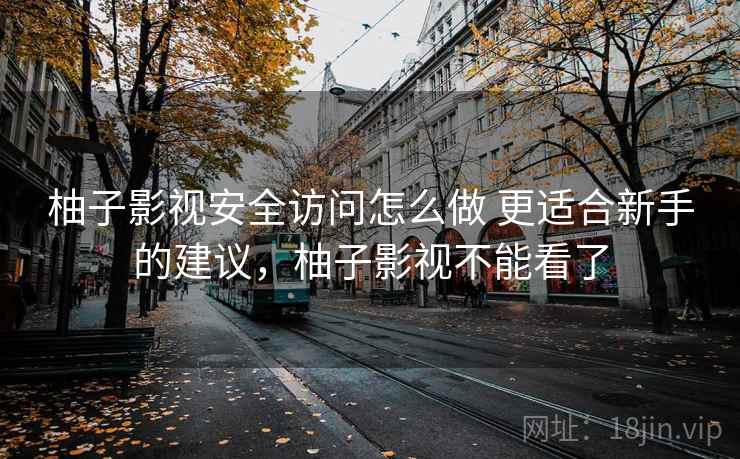 柚子影视安全访问怎么做 更适合新手的建议,柚子影视不能看了