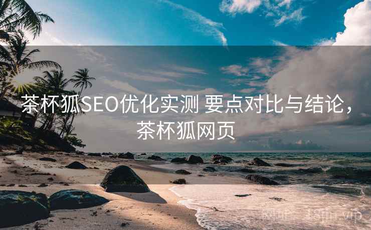 茶杯狐SEO优化实测 要点对比与结论，茶杯狐网页