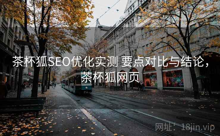 茶杯狐SEO优化实测 要点对比与结论，茶杯狐网页  第2张