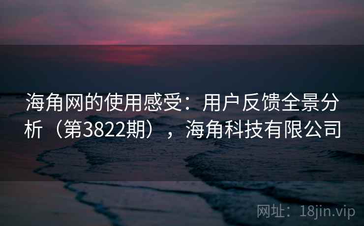 海角网的使用感受：用户反馈全景分析（第3822期），海角科技有限公司