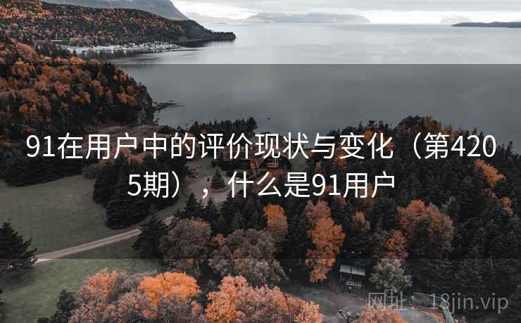 91在用户中的评价现状与变化（第4205期），什么是91用户