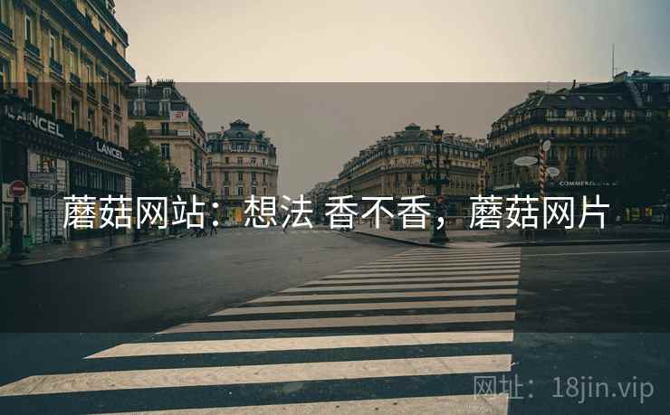蘑菇网站：想法 香不香，蘑菇网片  第2张