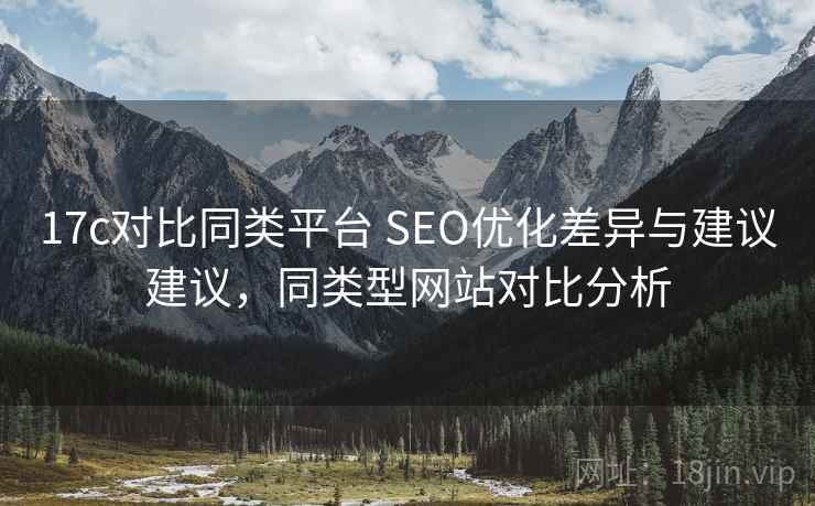 17c对比同类平台 SEO优化差异与建议建议，同类型网站对比分析