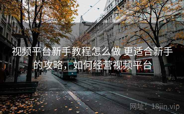 视频平台新手教程怎么做 更适合新手的攻略,如何经营视频平台
