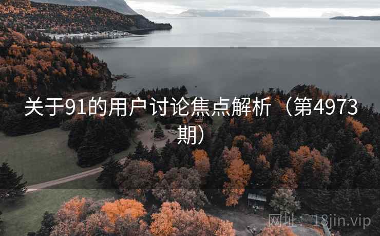关于91的用户讨论焦点解析(第4973期)