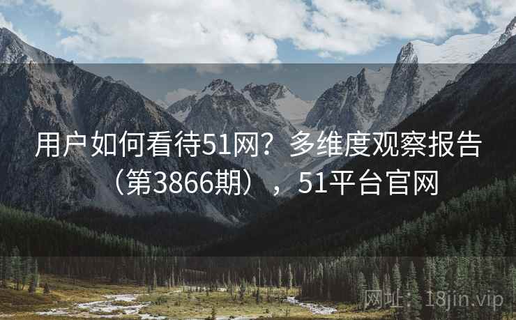 用户如何看待51网?多维度观察报告(第3866期),51平台官网